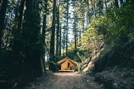 Read unbiased reviews and choose the best deal for your glamping holiday. 6 Eco Friendly Glamping Trends That Will Make You Travel In Style