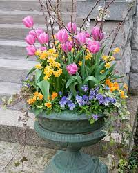 12 Stunning Spring Container Gardens