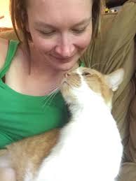 Has anyone experienced an animal dying during sedation?