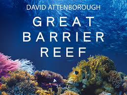 Das great barrier reef (wörtlich übersetzt: Prime Video David Attenborough Great Barrier Reef