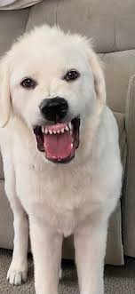 Hildegard's sass is never-ending and she gives it back