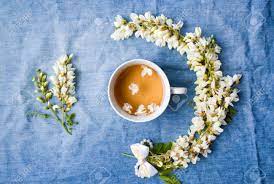Acacia Flower Tea Best Flower Wallpaper