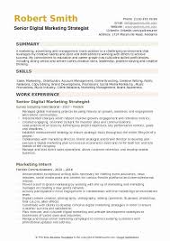 Digital Marketing Resume Sample Fresh Digital Marketing Strategist Resume Samples In 2020 Marketing Resume Resume Examples Manager Resume