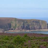 An array of such activities as windsurfing, snorkeling and. Flower Camping Longchamp Spottocamp