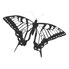 Tiger Swallowtail Butterfly Silhouette Ad Affiliate Sponsored Swallowtail Butterfly Swallowtail Butterfly Tiger Butterfly Tattoo Butterfly Outline