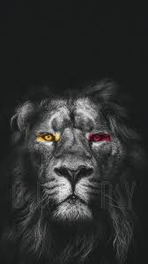 We did not find results for: Galatasaray Aslan Cimbombom Hd Mobile Wallpaper Peakpx