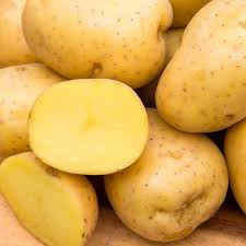 This delicious red skinned potato was named after the red river, which runs between north dakota and. Yukon Gold Potato 17 Best Recipes Using Yukon Gold Potatoes