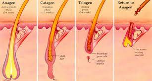 We wax, shave, pluck and cream our hair away, and some cultures have been doing this having hair removal treatments takes from minutes to hours. Laser Hair Removal Melbourne Box Hill Lose It With Laser