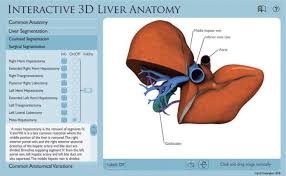 Most relevant best selling latest uploads. Interpreting Three Dimensional Structures From Two Dimensional Images A Web Based Interactive 3d Teaching Model Of Surgical Liver Anatomy Sciencedirect
