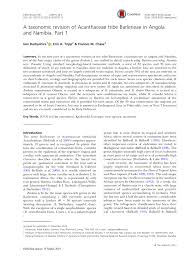 Image result for Barleria pseudosomalia