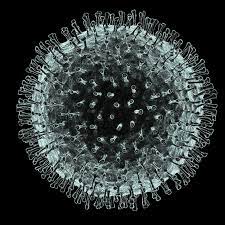 The weather channel has compiled data provided by multiple third party. China Coronavirus How Many Papers Have Been Published