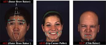 Facial Action Unit Recognition and Intensity Estimation Enhanced Through  Label Dependencies