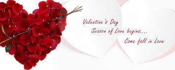 Celebrate any occasion with your loved ones by sending rose bouquet, colourful gerbera in. India Flowers Florist Hand Bouquet Vibrant Design Midnight Same Day Delivery