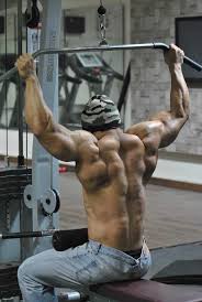 Pin De First Last Em Fitness Motivation Corpo Masculino Fisiculturismo Musculacao