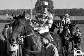 Image of JOCKEY SCOTT SEAMER WINCES AFTER FALLING OFF MELBOURNE CUP WINNER  ETHEREAL