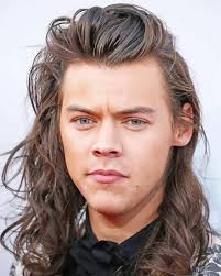One direction's heartthrob harry has been through some big hair changes over the years and fans just can't. Handsome Harry Styles With Long Hair New Paint By Numbers Paint By Numbers For Adult