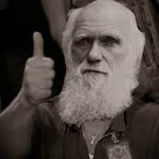 Evolution and Creationism Open Debate