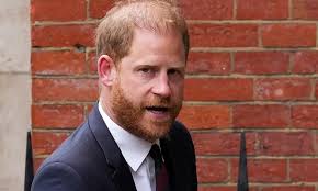 Harry kiệt sức trong cuộc chiến với chính phủ Anh về an ninh