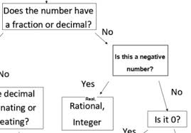 classifying numbers graphic organizer flow chart