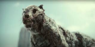 Turns Out Army Of The Dead S Zombie Tiger Has A Fun Connection To Another Netflix Offering Newscolony
