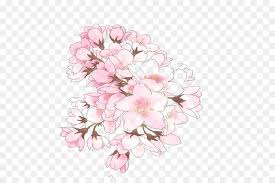 Flower Sakura Flower Drawing Png Learn how to draw sakura flower pictures using these outlines or print just for coloring. flower sakura flower drawing png