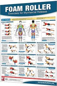 Productive Fitness Foam Roller Exercise Chart For Myofascial