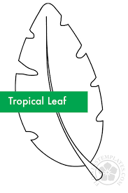 You can get the best discount of up to 60% off. Tropical Leaf Outline Flowers Templates