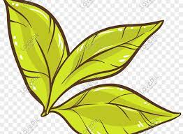 Gambar Daun Vektor Png Ilustrasi Vektor Ilustrasi Gambar