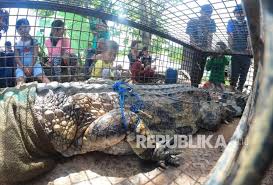 Maybe you would like to learn more about one of these? Korban Serangan Buaya Di Banyuasin Ditemukan Meninggal Republika Online