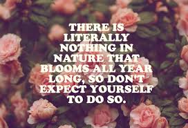 Here we have discussed in detail list of indoor flowers that bloom all year. The Trevor Project Auf Twitter Nature Doesn T Bloom All Year Round Don T Expect Yourself To We Re Here For You 24 7 At 866 488 7386 Https T Co Unajtnxqqu Twitter
