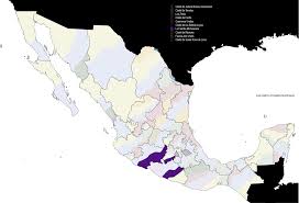 Confirma gobernación detención de el pony, líder de la familia michoacana en edomex/ pascal. La Familia Michoacana Wikipedia