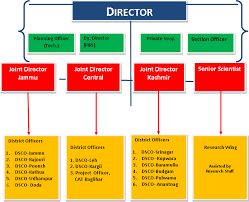 Factual Dhl Organizational Chart 2019