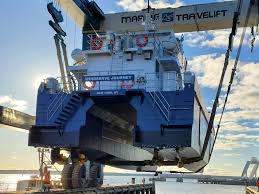 Image result for Medium Brown 2020 Fleet