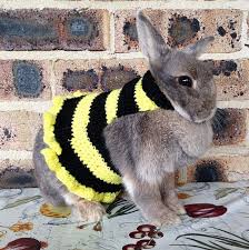 Rabbit Sweater Pet Rabbit Clothes Pet Bunny Black And Yellow Bumblebee Pet Rabbit Clothes Rabbit Clothes Pet Bunny