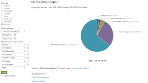 project management tool online pie chart report