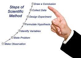 Ø misalnya tentang jenis olahraga yakni tenis, basket, dan renang. Scientific Method The Definitive Guide Biology Dictionary