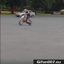 Pin On Gifon007 Eu All Funny Gifs Animals Fails