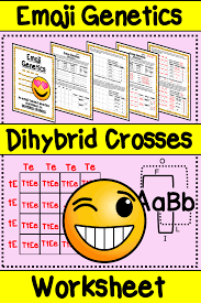 Emoji Dihybrid Cross Worksheet Emoji Genetics Double Punnett Squares Dihybrid Cross Genetics Activities Classroom Anchor Charts