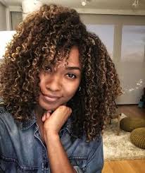 Black And Brown Highlights Curly Hair Follow Pindiscovery For More Pins Natural Hair Styles Dyed Natural Hair Natural Hair Highlights