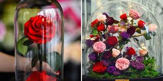 Ladada galaxy rose flower gift colorful artificial flower rose with led light string lasts forever rose in a glass dome, birthday gifts for women. Forever Roses Roses Created By Forever Rose Will Last Three Years