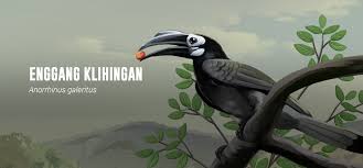 Tari burung enggang atau biasa disebut tari enggang adalah sebuah tarian suku dayak kenyah kalimantan timur. Rangkong Indonesia Enggang Klihingan
