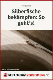 Silberfische Bekampfen So Geht S Silberfische Silberfische Bekampfen Fische
