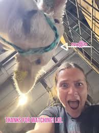 20 top Country Western Girl Dog Names ideas in 2024