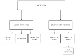 Grammatical morphemes have a job rather than a meaning. The Classification Of Morphemes Linguistics Stack Exchange