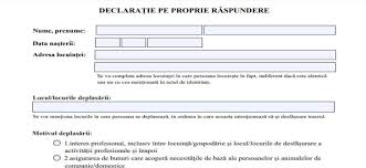 Declaratie Pe Propria Raspundere Oficiala Opinia Timisoarei