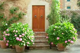 Be the first to review this product. New 2016 Hydrangeas To Plant Now For Fall 31 Daily