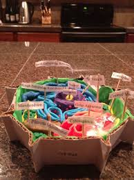 Every day new 3d models from all over the world. Plant Cell Model Science Project Shefalitayal