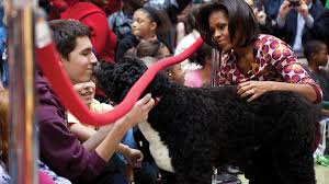 Wenn ein hund new hope getauft wird, dann ist er wohl zu etwas größerem bestimmt. Se Billederne Barack Obama Og Familien Med Deres Elskede Hund Bo Billed Bladet