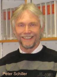 Mathe-Vorlesung für Oberstufe im Forum der Gesamtschule Friedenstal“. Info-  und anschließende Diskussionsveranstaltung mi