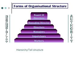 Hierarchy Flat Matrix 5 Forms Of Organisational Structure Board Of Directors Organizational Structure Board Of Directors Organizational